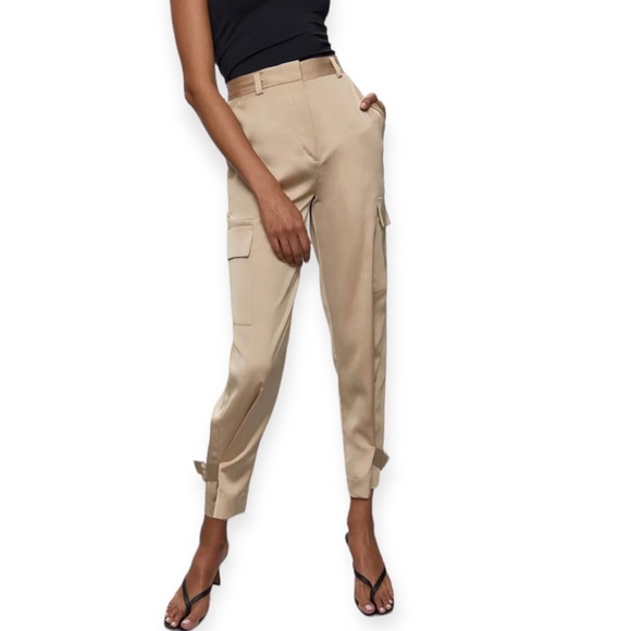 Babaton Pants - Aritzia Babaton Refined Cargo Pants *In Brown*